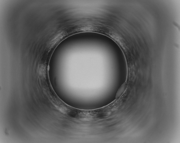 X0000097860297200803141244