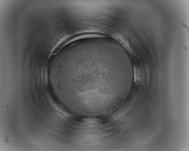 X0000097860300200803141244