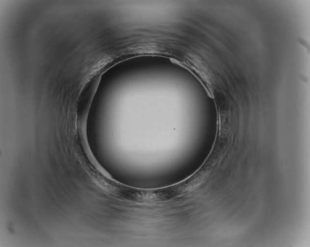 X0000097860301200803141244