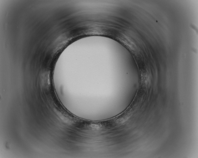 X0000097860302200803141244