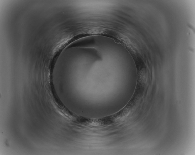 X0000097860303200803141244