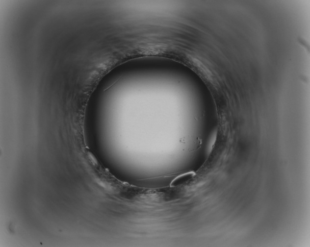 X0000097860307200803141244