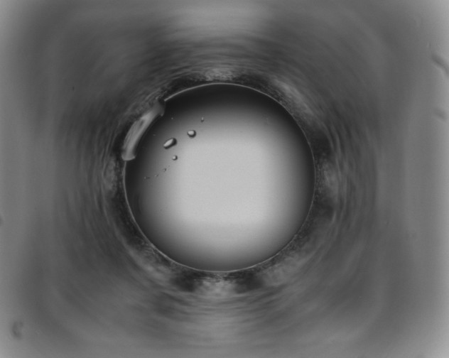 X0000097860311200803141244