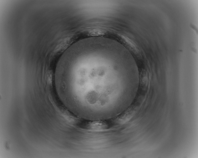 X0000097860315200803141244