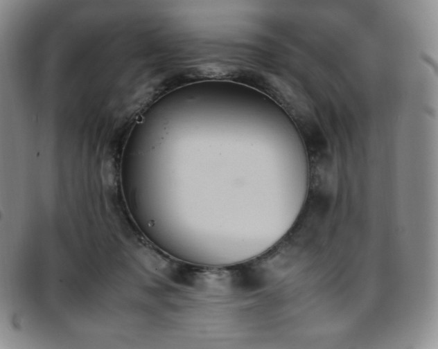 X0000097860317200803141244