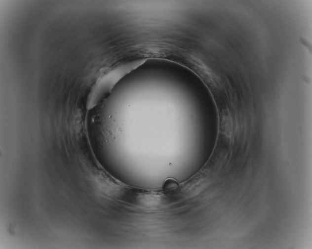 X0000097860318200803141244