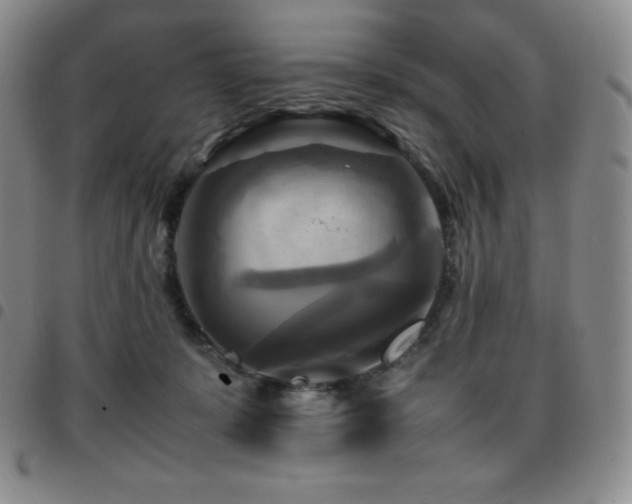 X0000097860319200803141244