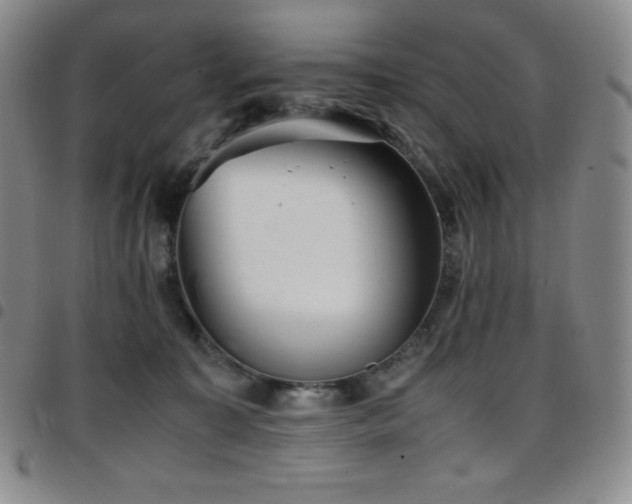 X0000097860323200803141244