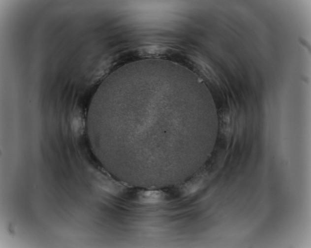 X0000097860324200803141244