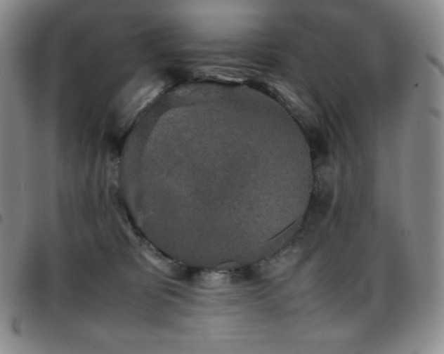 X0000097860325200803141244