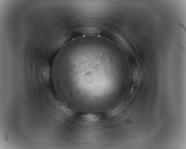 X0000097860326200803141244