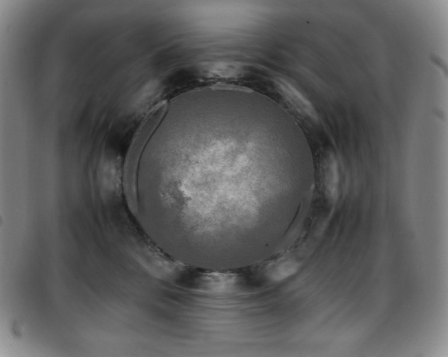 X0000097860328200803141244