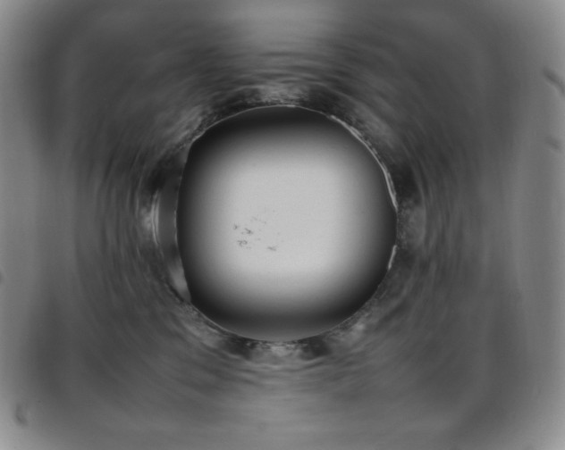 X0000097860329200803141244