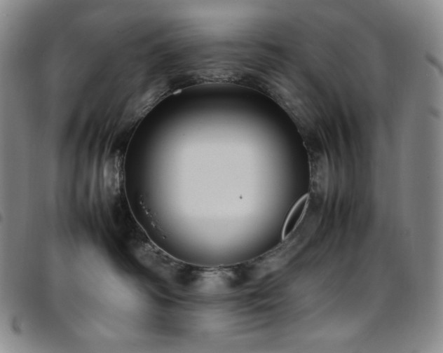 X0000097860334200803141244