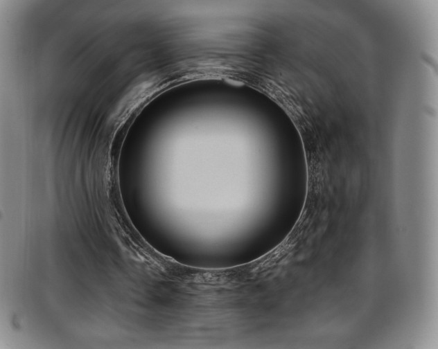 X0000097860338200803141243