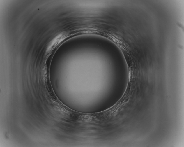 X0000097860339200803141243