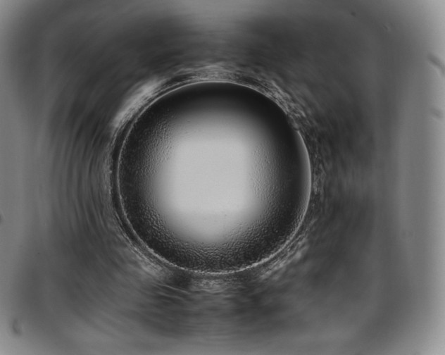 X0000097860341200803141243