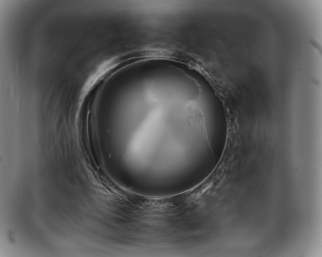 X0000097860343200803141243