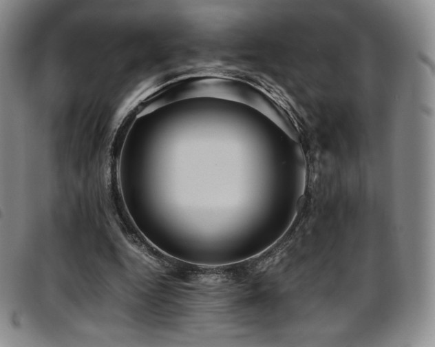 X0000097860344200803141243