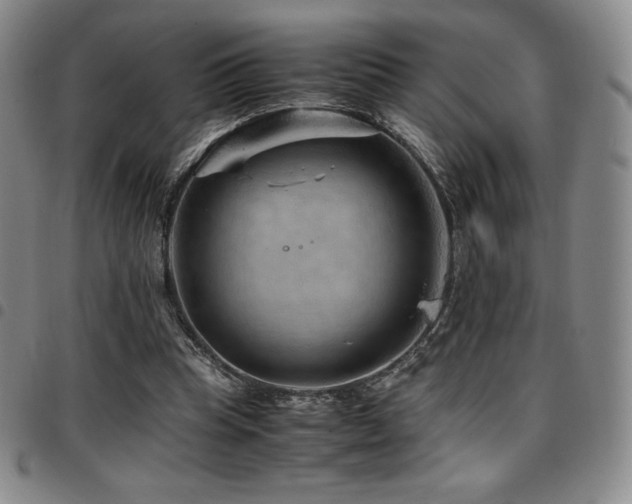 X0000097860345200803141243