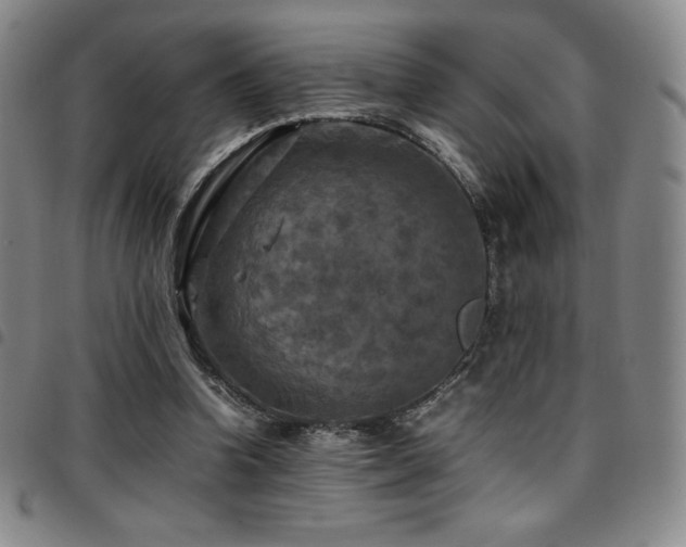 X0000097860346200803141243