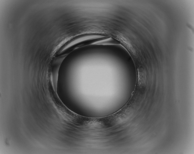 X0000097860348200803141243