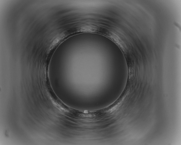 X0000097860349200803141243