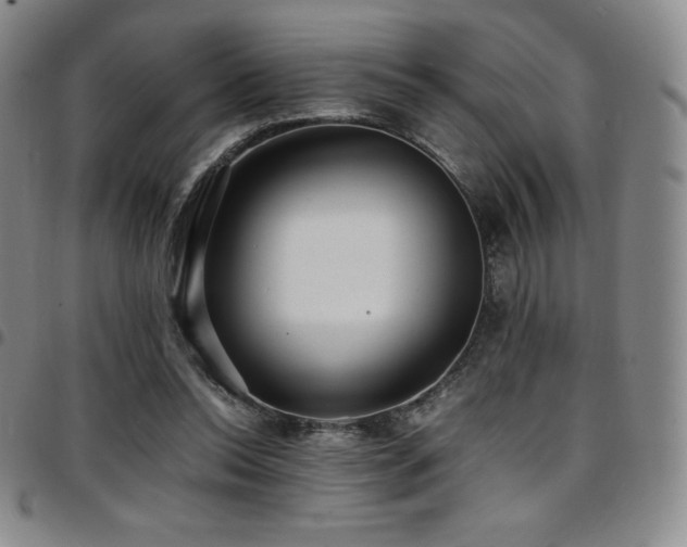 X0000097860350200803141243