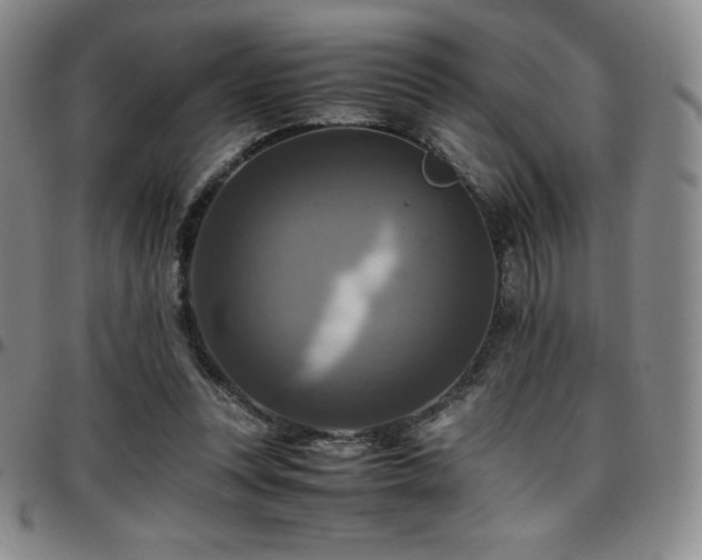 X0000097860351200803141243