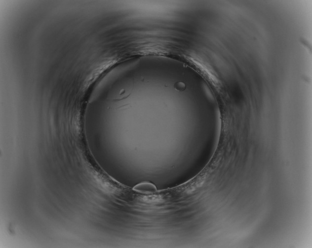 X0000097860353200803141243