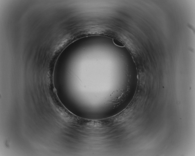 X0000097860354200803141243