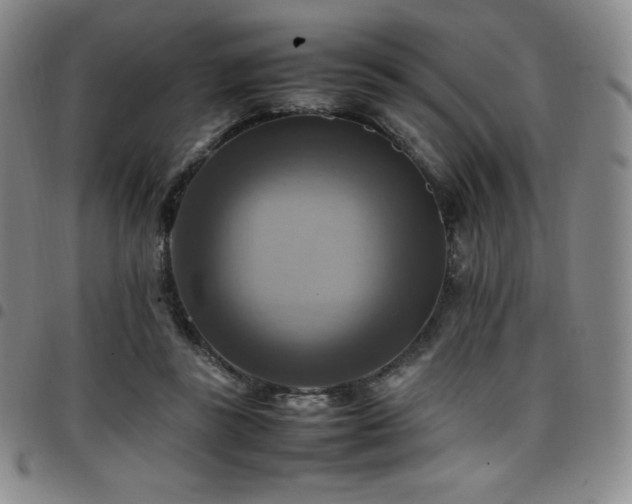 X0000097860355200803141243