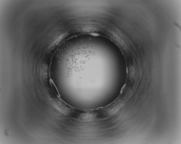 X0000097860356200803141243