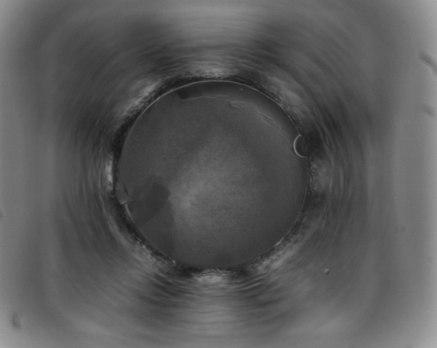 X0000097860358200803141243