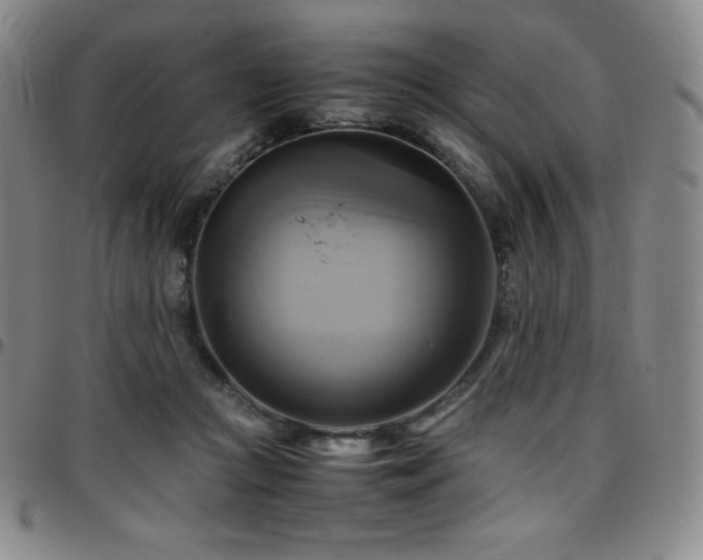 X0000097860361200803141243