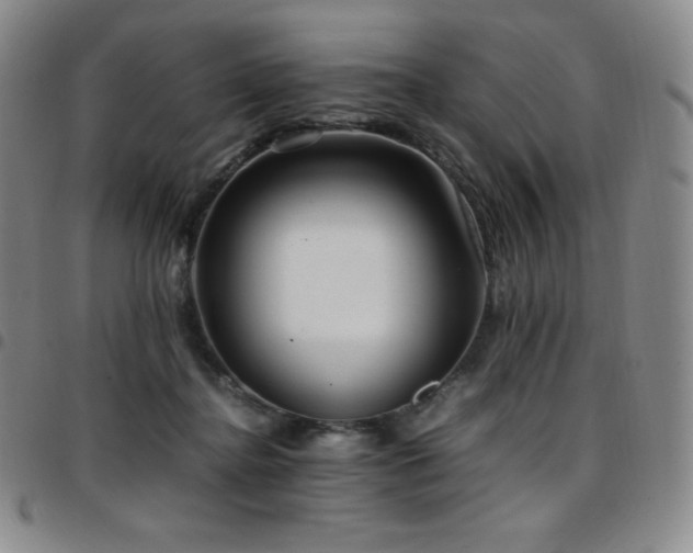 X0000097860364200803141243