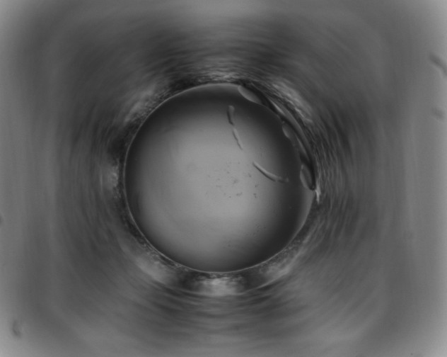 X0000097860365200803141243