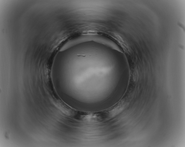 X0000097860366200803141243