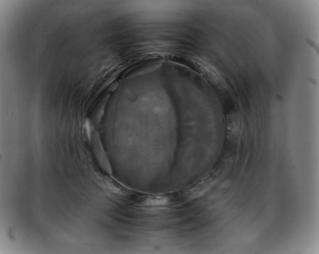 X0000097860369200803141243