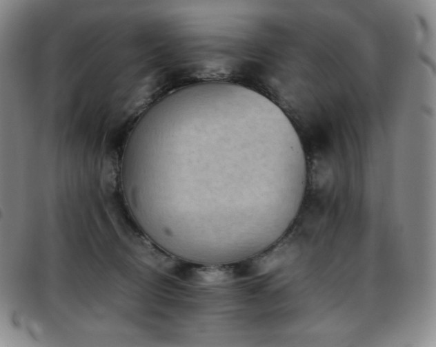 X0000097860370200803141243