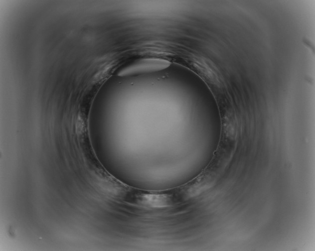 X0000097860371200803141243