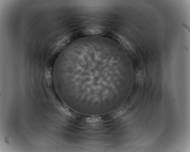 X0000097860373200803141243