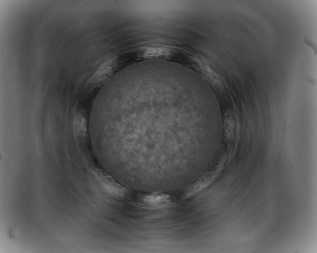 X0000097860375200803141243