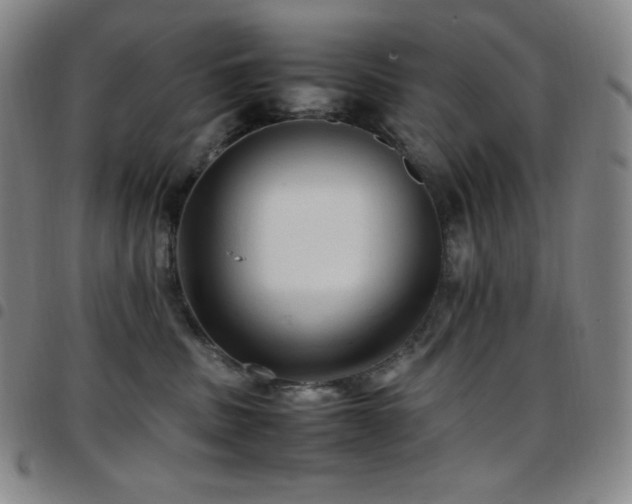 X0000097860379200803141243