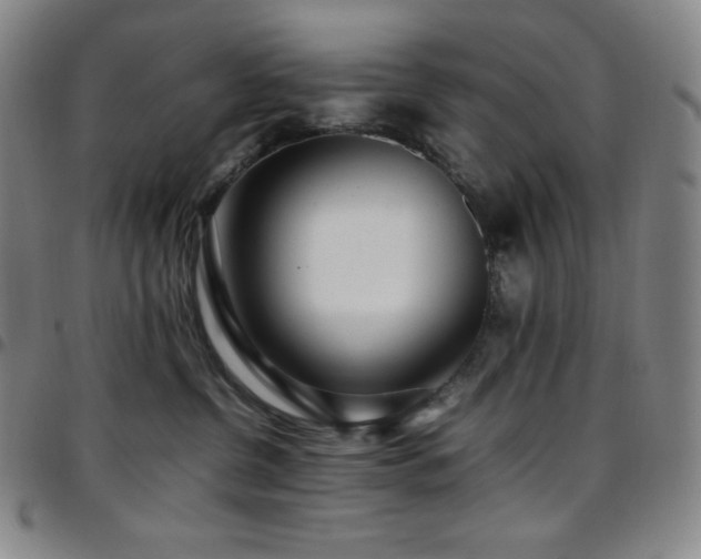 X0000097860380200803141243