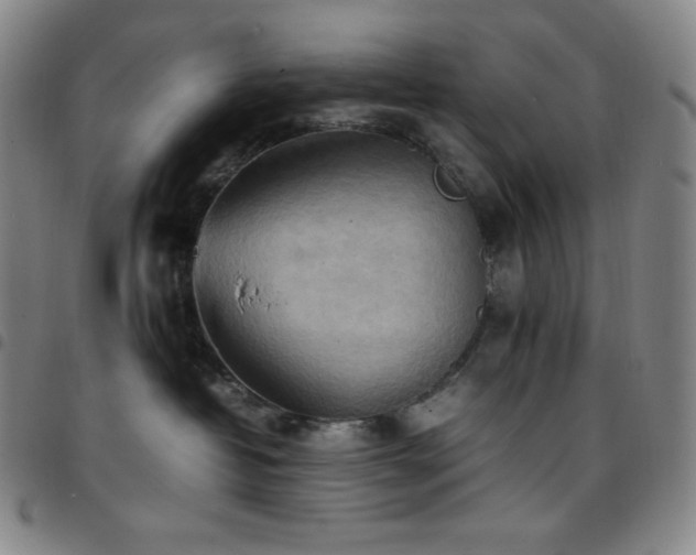 X0000097860382200803141244