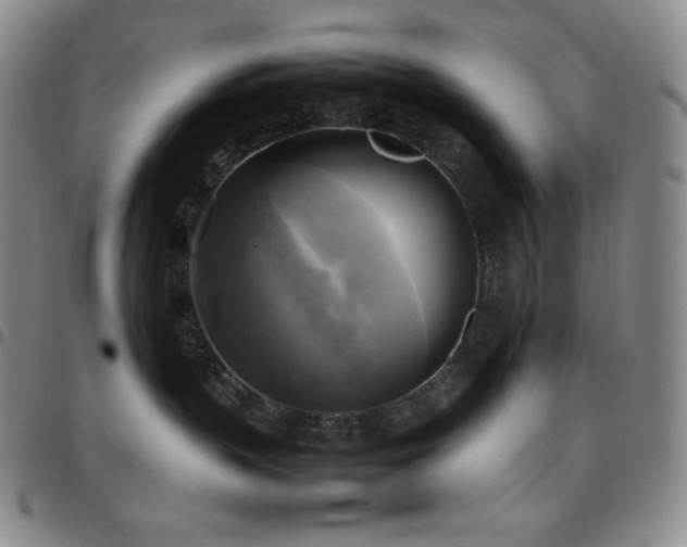 X0000097860383200803141244