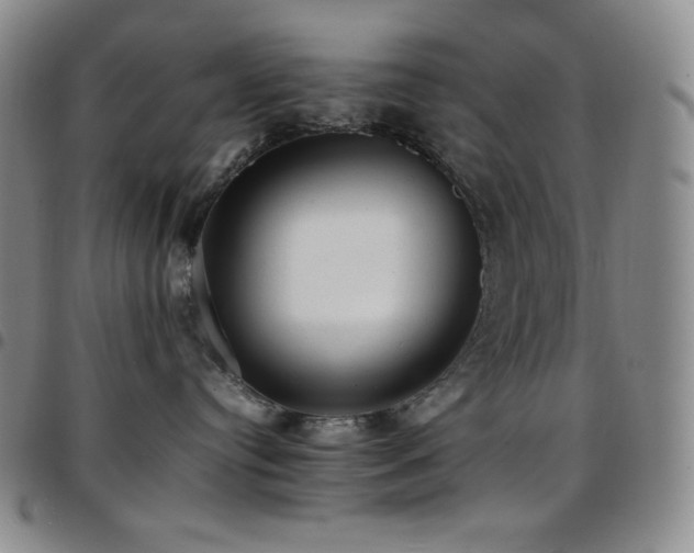 X0000097860384200803141244