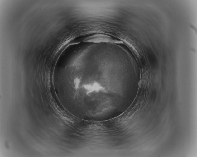 X0000097860386200803141243