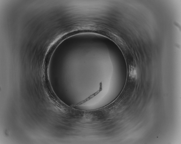 X0000097860388200803141243